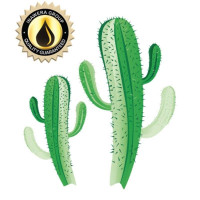 INAWERA CACTUS AROMA